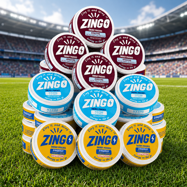 ZINGO Team Bundle 15 packs (240 pouches)